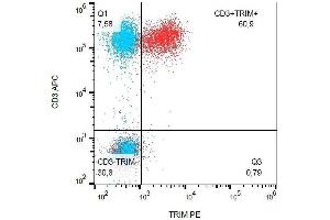 Intracellular staining of human peripheral blood with mAb PE. (TRIM 抗体  (AA 29-186) (PE))