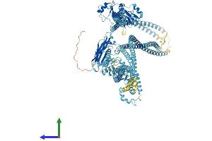 Protein Structure (PS) image for Structural Maintenance of Chromosomes 2 (SMC2) (AA 1-1197) protein (His tag) (ABIN7555525)