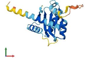 Protein Structure (PS) image for Growth Arrest and DNA-Damage-Inducible, alpha (GADD45A) (AA 1-165) protein (His tag) (ABIN7547771)