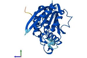 Protein Structure (PS) image for N-6 Adenine-Specific DNA Methyltransferase 1 (Putative) (N6AMT1) (AA 1-214) protein (His tag) (ABIN7548232)