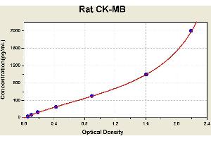 Creatine Kinase MB (CKM) ELISA Kit