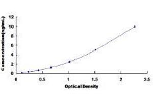 ELISA image for serpin Peptidase Inhibitor, Clade D (Heparin Cofactor), Member 1 (SERPIND1) ELISA Kit (ABIN415743)