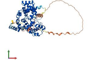 Protein Structure (PS) image for TBC1 Domain Family, Member 10C (TBC1D10C) (AA 1-444) protein (His tag) (ABIN7559210)