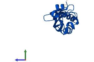 Protein Structure (PS) image for 6-Pyruvoyltetrahydropterin Synthase (PTS) (AA 1-144) protein (His tag) (ABIN7556229)