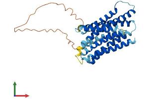 Protein Structure (PS) image for Solute Carrier Family 39 (Zinc Transporter), Member 3 (SLC39A3) (AA 1-314) protein (His tag) (ABIN7551628)
