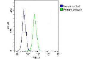 Flow Cytometry (FACS) image for anti-Collagen, Type XVII, alpha 1 (COL17A1) (AA 475-504) antibody (ABIN653043)