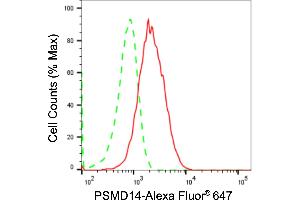 anti-Proteasome (Prosome, Macropain) 26S Subunit, Non-ATPase, 14 (PSMD14) antibody