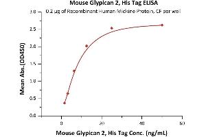 ELISA image for Glypican 2 (GPC2) (AA 22-556) (Active) protein (His tag) (ABIN6938871)