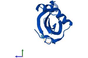 Protein Structure (PS) image for Cystatin B (Stefin B) (CSTB) (AA 1-98) protein (His tag) (ABIN7546945)