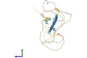 Protein Structure (PS) image for cAMP Responsive Element Binding Protein 3-Like 3 (CREB3L3) (AA 1-479) protein (His tag) (ABIN7560090)