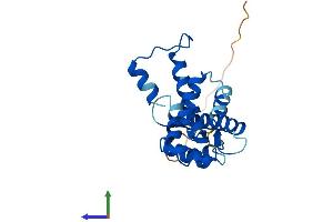 Protein Structure (PS) image for Sorcin (SRI) (AA 1-198) protein (His tag) (ABIN7546192)