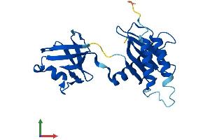 Protein Structure (PS) image for Trafficking Protein Particle Complex 4 (TRAPPC4) (AA 1-219) protein (His tag) (ABIN7561456)