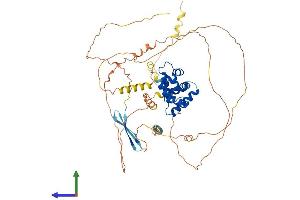 Protein Structure (PS) image for AT Rich Interactive Domain 3B (BRIGHT-Like) (ARID3B) (AA 1-568) protein (His tag) (ABIN7556389)