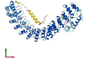 Protein Structure (PS) image for Ankyrin Repeat and SOCS Box Containing 15 (ASB15) (AA 1-588) protein (His tag) (ABIN7552472)