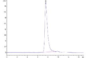 Size-exclusion chromatography-High Pressure Liquid Chromatography (SEC-HPLC) image for Receptor tyrosine-protein kinase erbB-2 (ErbB2/Her2) (AA 23-652) protein (His tag) (ABIN7274794)