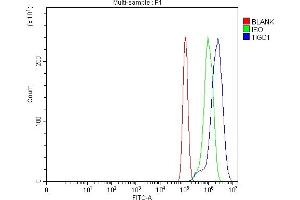 Flow Cytometry analysis of PC-3 cells using anti-TIGD1 antibody (ABIN7602407).