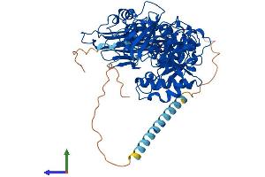 Protein Structure (PS) image for Protein O-Linked Mannose Beta1,2-N-Acetylglucosaminyltransferase (POMGNT1) (AA 1-660) protein (His tag) (ABIN7555044)