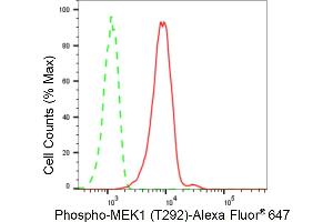 Flow cytometric analysis of Phospho-MEK1 (T292) expression in C2C12 cells using Phospho-MEK1 (T292) antibody (ABIN7799463), 1:2,000). (Recombinant MEK1 抗体  (pThr292))
