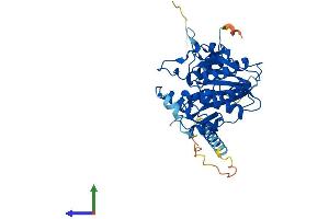 Protein Structure (PS) image for beta-1,3-N-Acetylglucosaminyltransferase 4 (B3GNT4) (AA 1-378) protein (His tag) (ABIN7552629)