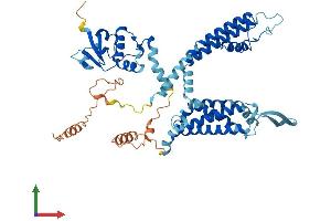 AlphaFold protein structure predicition of Human Recombinant KCNC1 Protein, UniprotID P48547 (KCNC1 Protein (AA 1-511) (His tag))