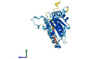 Protein Structure (PS) image for Proteasome Subunit alpha 8 (PSMA8) (AA 1-256) protein (His tag) (ABIN7550968)