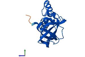 Protein Structure (PS) image for Chromosome X Open Reading Frame 40A (CXorf40A) (AA 1-158) protein (His tag) (ABIN7546907)