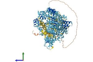 AlphaFold protein structure predicition of Mouse Recombinant Naip2 Protein, UniprotID Q9QUK4