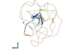 Protein Structure (PS) image for SRY (Sex Determining Region Y)-Box 30 (SOX30) (AA 1-782) protein (His tag) (ABIN7559330)