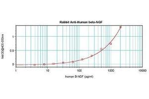 Image no. 4 for anti-Nerve Growth Factor (NGF) antibody (ABIN465645) (Nerve Growth Factor 抗体)