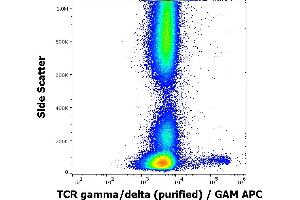 Flow cytometry surface staining pattern of human peripheral whole blood stained using anti-human TCR gamma/delta (11F2) purified antibody (concentration in sample 1,7 μg/mL, GAM APC). (TCR gamma/delta 抗体)