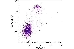 C57BL/6 mouse splenocytes were stained with Rat Anti-Mouse CD90-SPRD. (CD90 抗体  (SPRD))