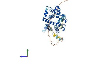 Protein Structure (PS) image for Transmembrane Protein 38B (TMEM38B) (AA 1-291) protein (His tag) (ABIN7544571)