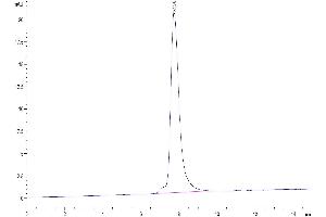 Size-exclusion chromatography-High Pressure Liquid Chromatography (SEC-HPLC) image for Interleukin 9 (IL9) (AA 19-144) protein (Fc Tag) (ABIN7274985)