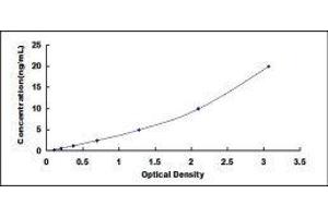 Typical standard curve (Biglycan ELISA 试剂盒)