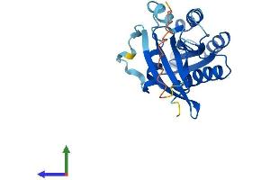 Protein Structure (PS) image for RAB39A, Member RAS Oncogene Family (RAB39A) (AA 1-217) protein (His tag) (ABIN7558628)