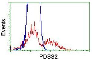 HEK293T cells transfected with either RC207892 overexpress plasmid (Red) or empty vector control plasmid (Blue) were immunostained by anti-PDSS2 antibody (ABIN2455314), and then analyzed by flow cytometry. (PDSS2 抗体)