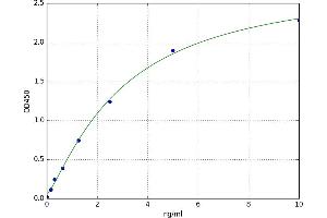 A typical standard curve (UGT1A6 ELISA 试剂盒)