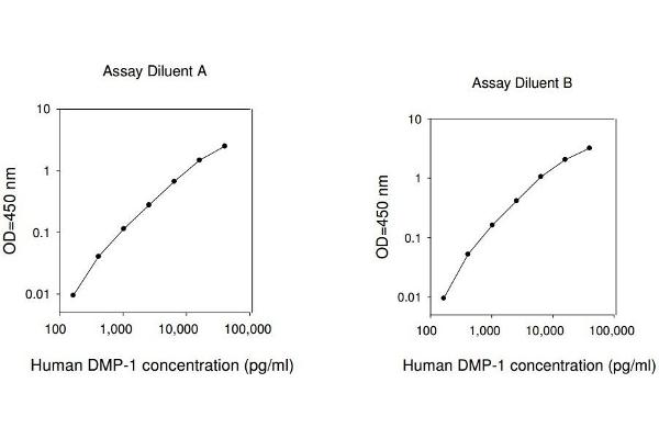 DMP1 ELISA 试剂盒