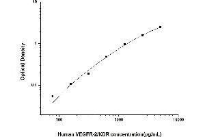 VEGFR2/CD309 ELISA 试剂盒