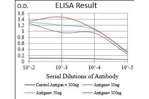 Black line: Control Antigen (100 ng), Purple line: Antigen(10 ng), Blue line: Antigen (50 ng), Red line: Antigen (100 ng), (RAP1GAP 抗体  (AA 412-660))