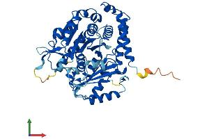 Protein Structure (PS) image for Tubulin, alpha 1a (Tuba1a) (AA 1-451) protein (His tag) (ABIN7544232)