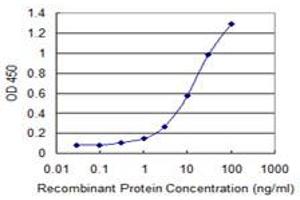Detection limit for recombinant GST tagged RUVBL2 is 0. (RUVBL2 抗体  (AA 1-463))