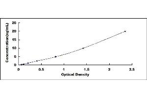 Typical standard curve (TLR1 ELISA 试剂盒)