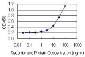 Detection limit for recombinant GST tagged ING4 is 0. (ING4 抗体  (AA 1-249))