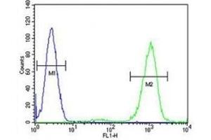 ADA antibody flow cytometric analysis of HL-60 cells (right histogram) compared to a negative control (left histogram). (ADA 抗体  (AA 287-314))