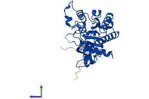 Protein Structure (PS) image for Aminoacylase 3 (ACY3) (AA 1-318) protein (His tag) (ABIN7560088)