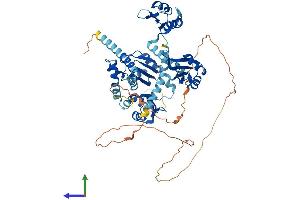 Protein Structure (PS) image for Poly(A) Binding Protein, Cytoplasmic 1 (PABPC1) (AA 1-636) protein (His tag) (ABIN7554873)
