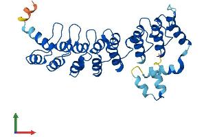 Protein Structure (PS) image for Ankyrin Repeat and SOCS Box Containing 7 (ASB7) (AA 1-318) protein (His tag) (ABIN7560159)