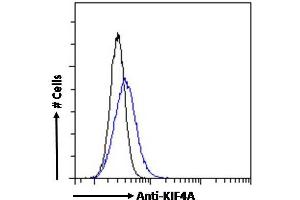 ABIN184768 Flow cytometric analysis of paraformaldehyde fixed HEK293 cells (blue line), permeabilized with 0. (KIF4A 抗体  (C-Term))