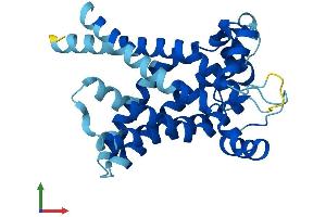 Protein Structure (PS) image for Solute Carrier Family 25 (Mitochondrial Oxodicarboxylate Carrier), Member 21 (Slc25a21) (AA 1-298) protein (His tag) (ABIN7559029)